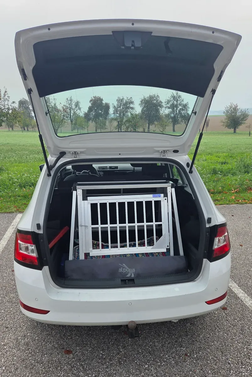 Skoda Fabia 2022 photo 2