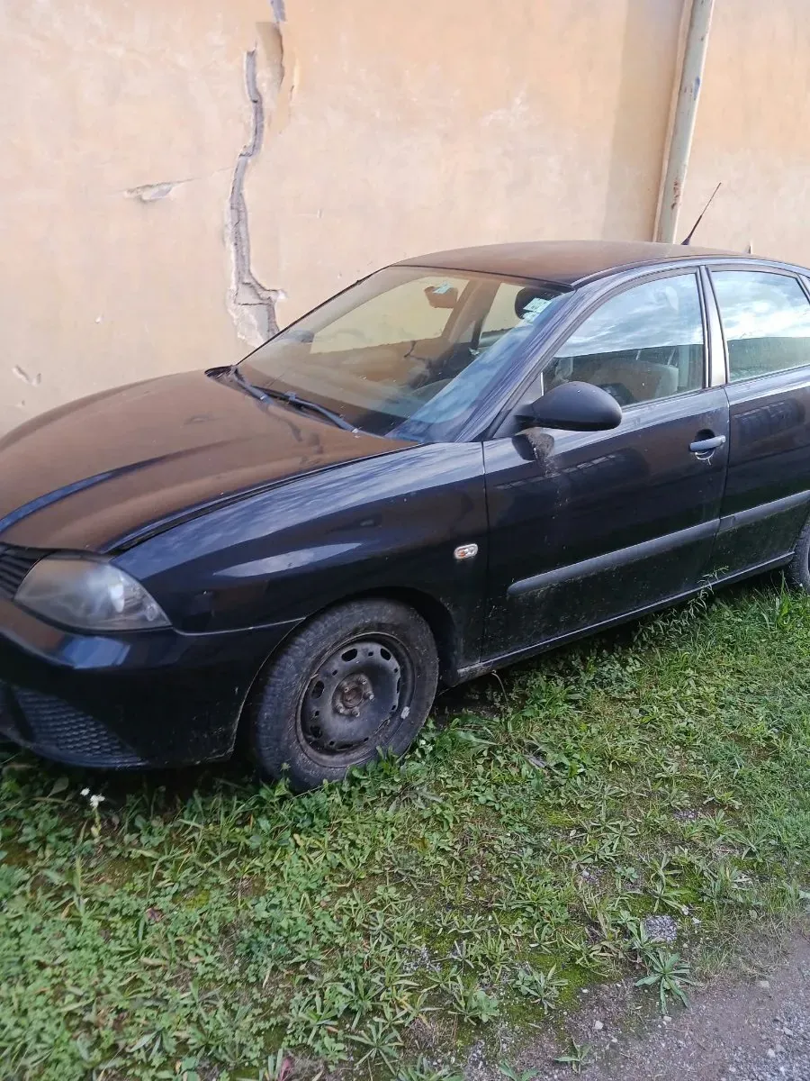 Seat Ibiza 2009 photo 2