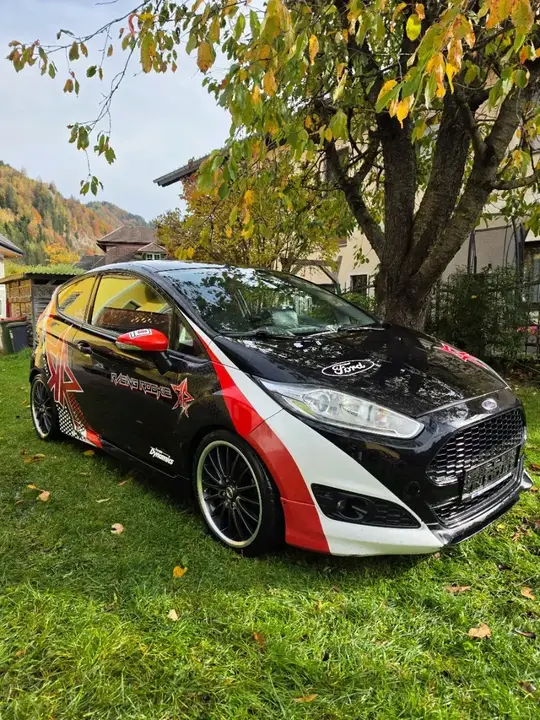 Ford Fiesta 2013 photo 2