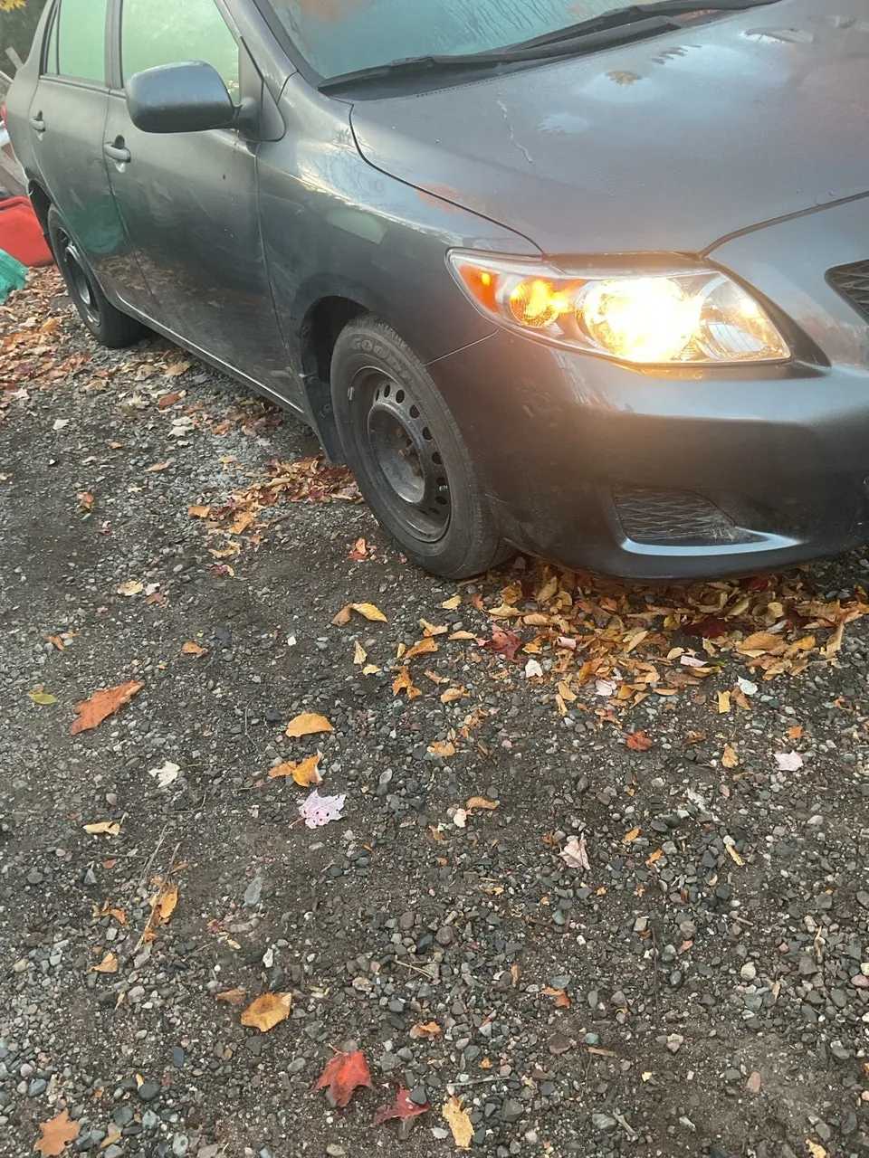 Toyota Corolla 2010 photo 4