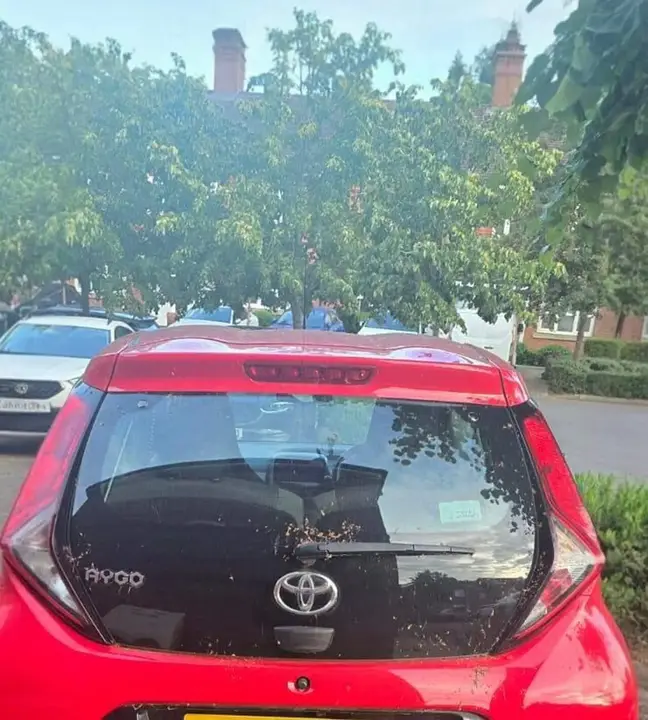 Toyota Aygo 2021 photo 4