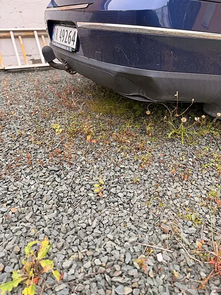 Volkswagen Passat 2006 photo 4