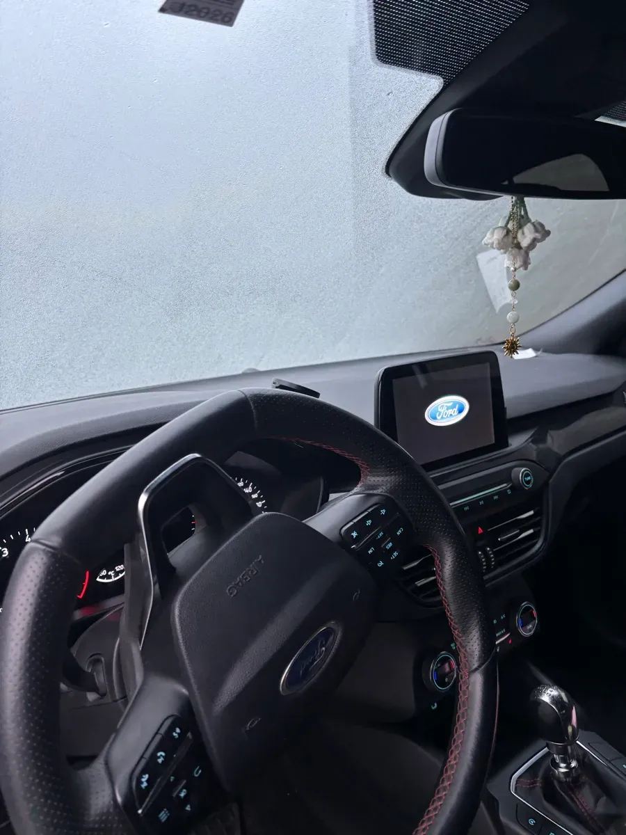 Ford Focus 2019 photo 2