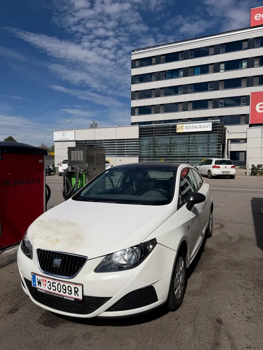 Seat Ibiza 2010 photo 3
