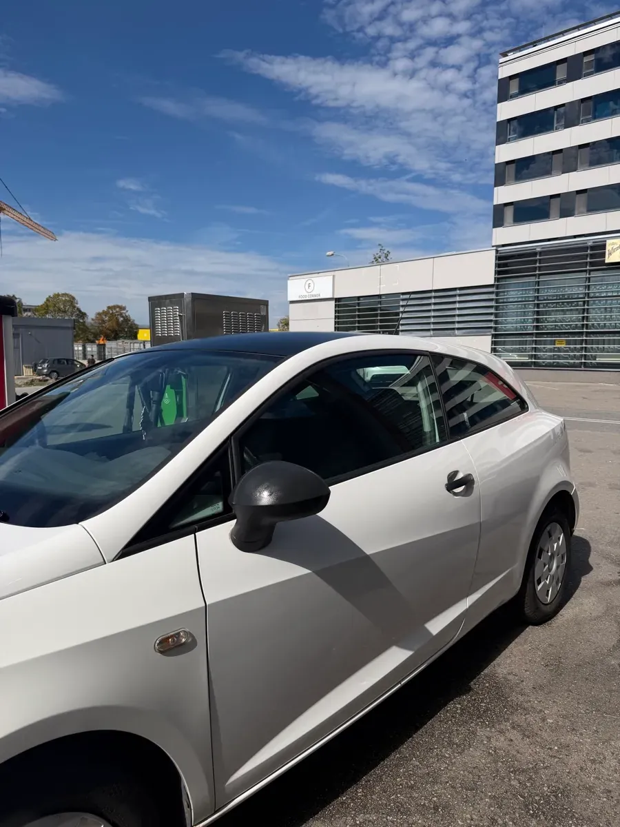 Seat Ibiza 2010 photo 2