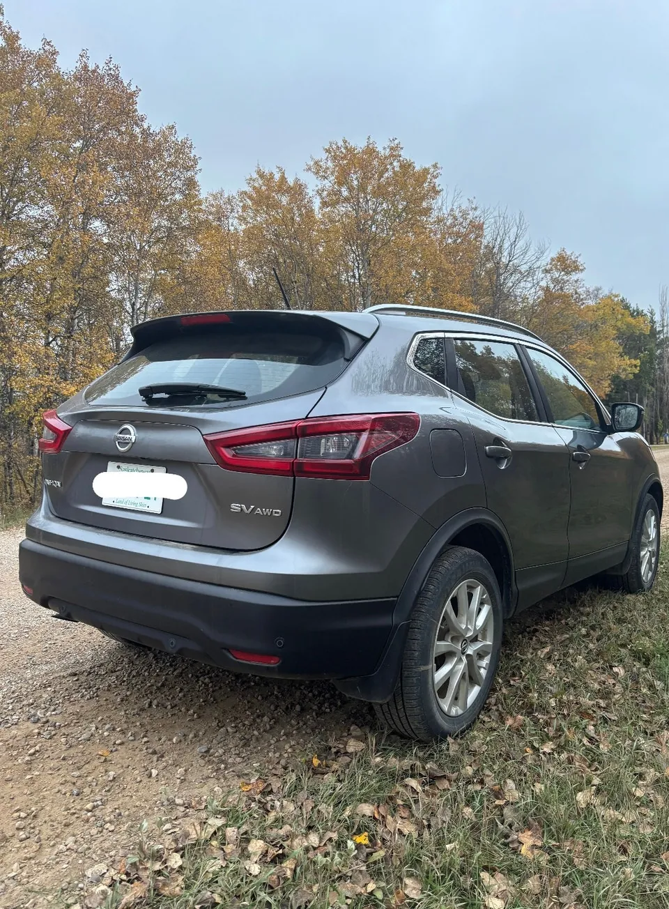 Nissan Qashqai 2020 photo 3