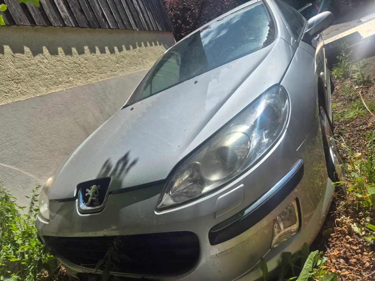 Peugeot 407 2004 photo 3