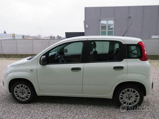 Fiat Panda 2019 photo 2