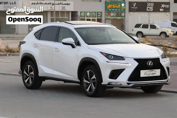 Lexus Nx 300 2020 photo 3