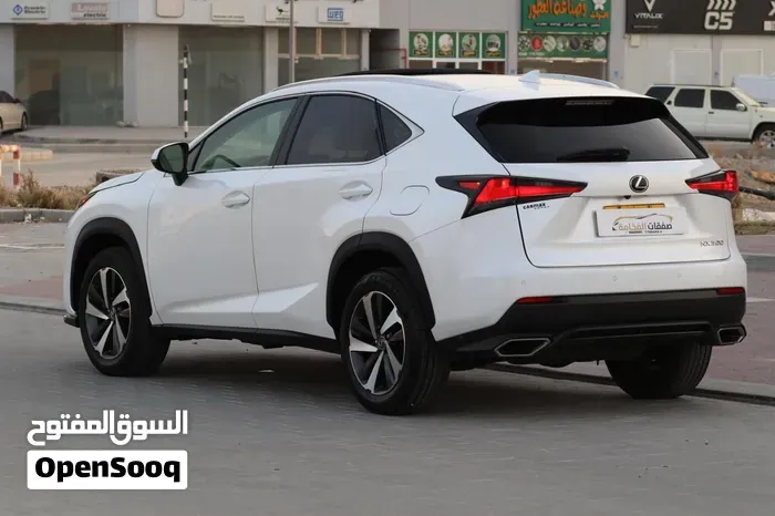 Lexus Nx 300 2020 photo 4