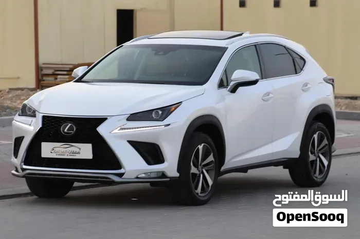 Lexus Nx 300 2020 photo 2