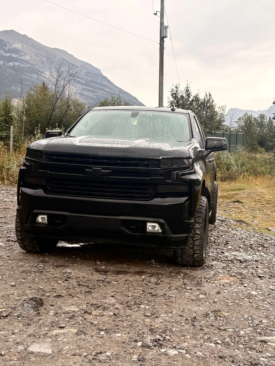 Chevrolet Silverado 1500 2019 photo 2