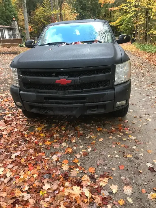 Chevrolet Silverado 1500 2010 photo 2