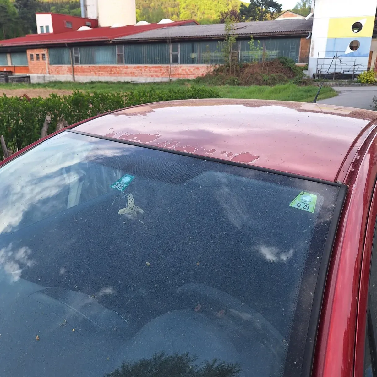 Citroen C3 2009 photo 2