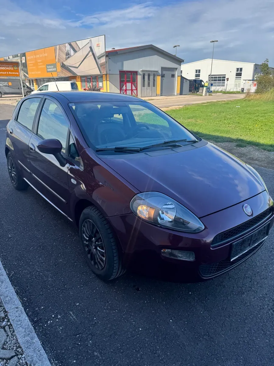 Fiat Punto 2012 photo 2