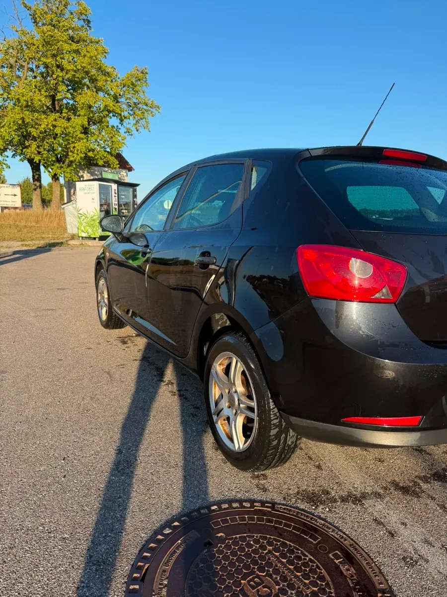 Seat Ibiza 2011 photo 3
