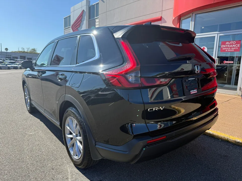 Honda Cr-V 2024 photo 4