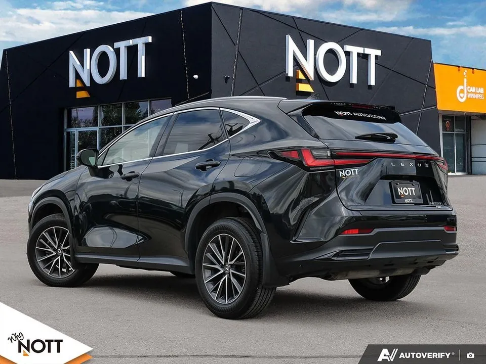 Lexus Nx 2024 photo 4