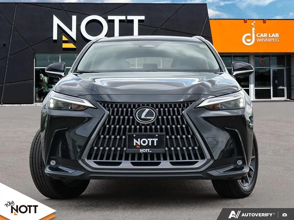 Lexus Nx 2024 photo 2