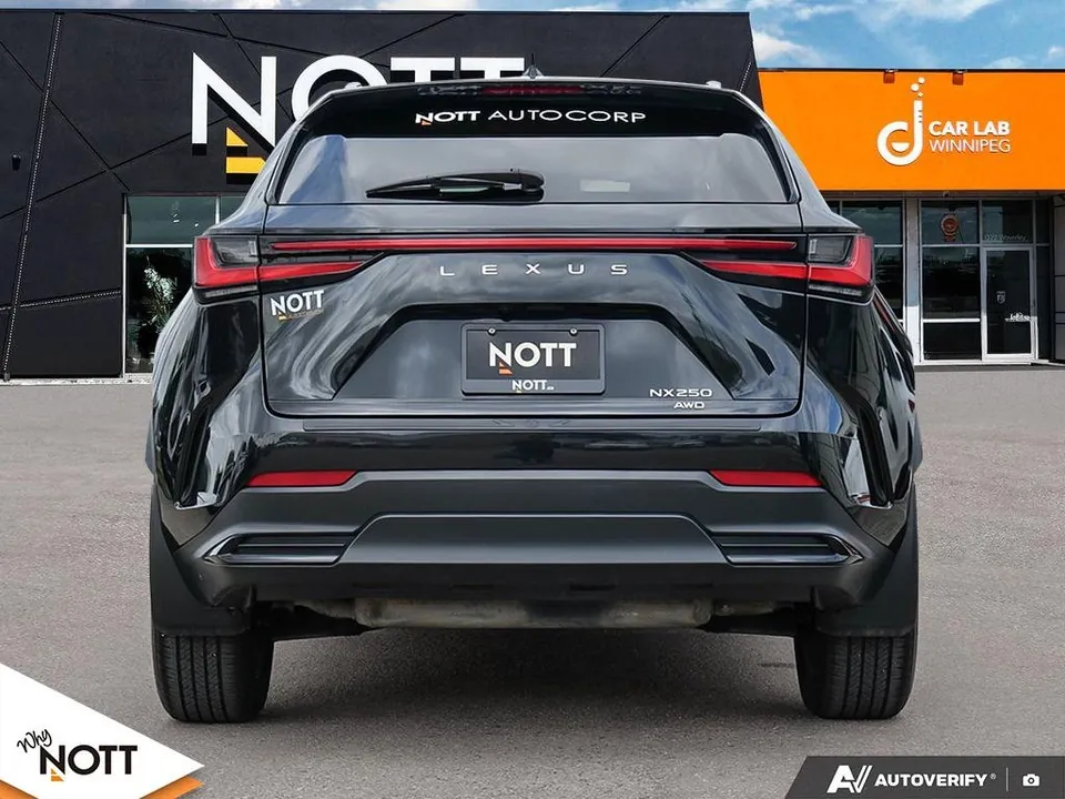 Lexus Nx 2024 photo 5