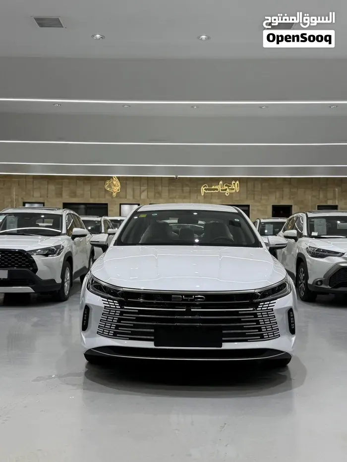 BYD Destroyer 5