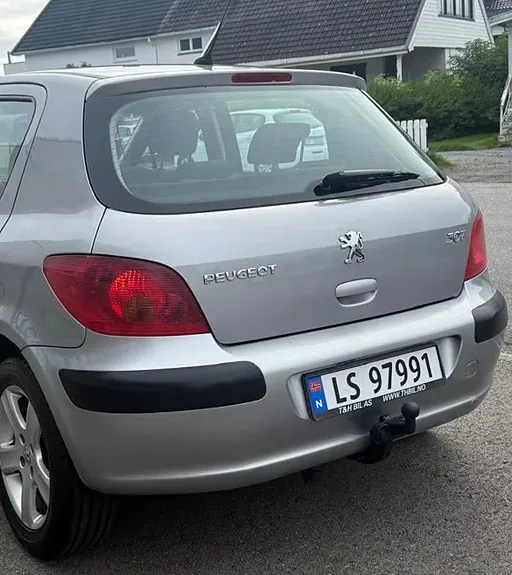 Peugeot 307 2002 photo 5