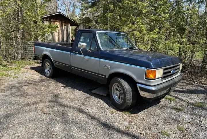 Ford F-150 1991 photo 3