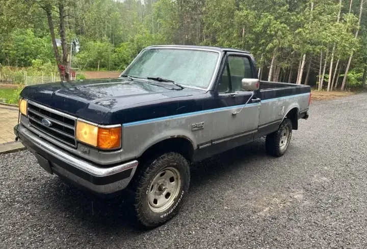 Ford F-150 1991 photo 2