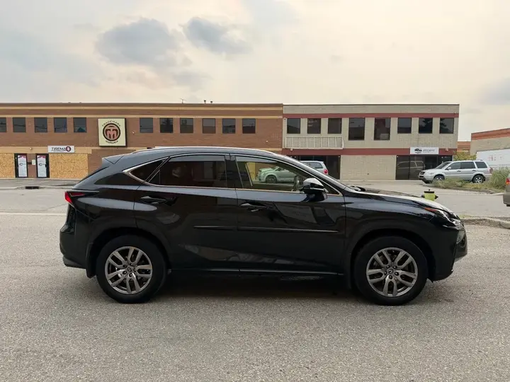 Lexus Nx 300 2018 photo 5