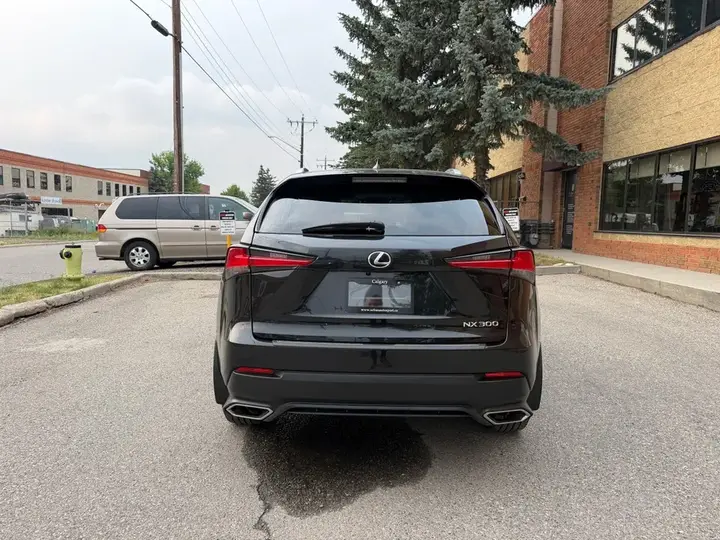 Lexus Nx 300 2018 photo 3