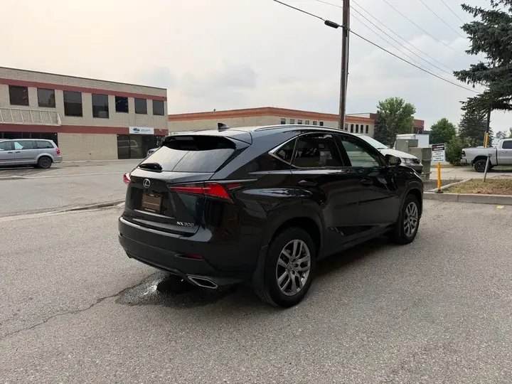 Lexus Nx 300 2018 photo 4