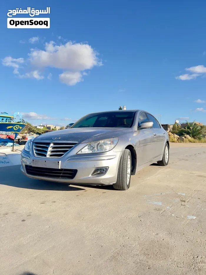 Genesis Sonata 2010 photo 2