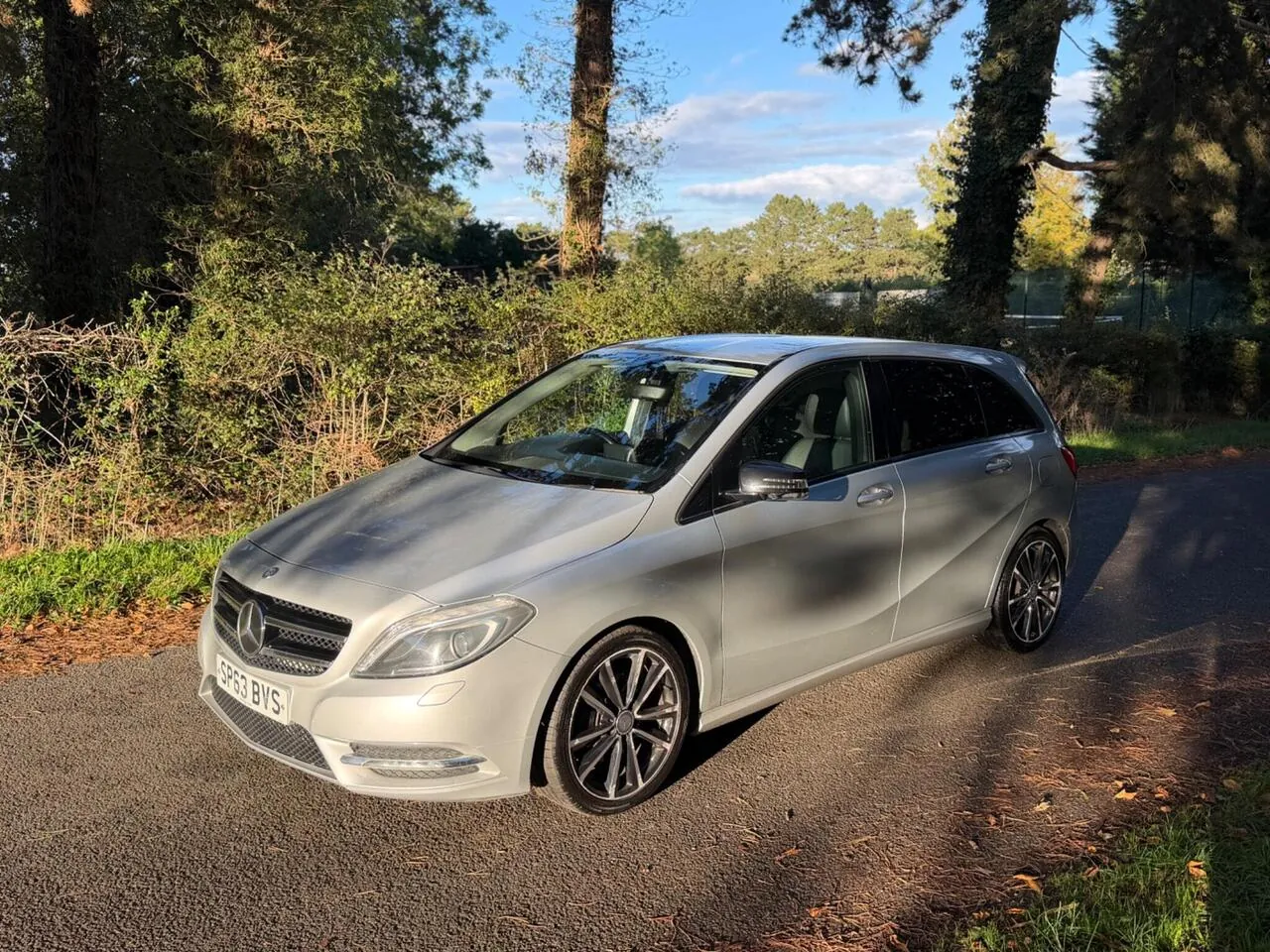 Mercedes-Benz B-Class 2013 photo 2
