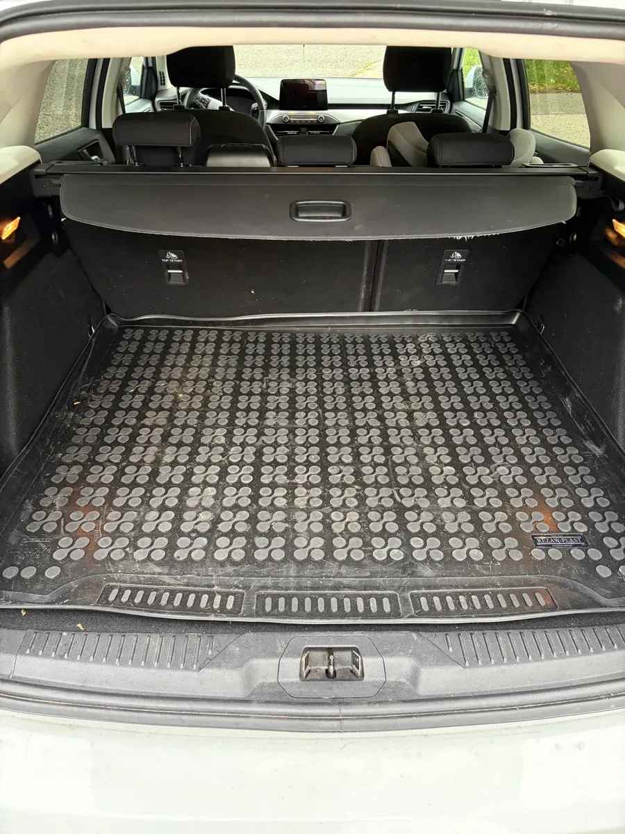 Ford Focus 2019 photo 3