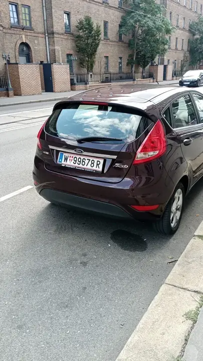 Ford Fiesta 2010 photo 2