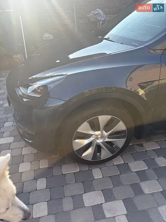 Tesla Model Y 2024 photo 5