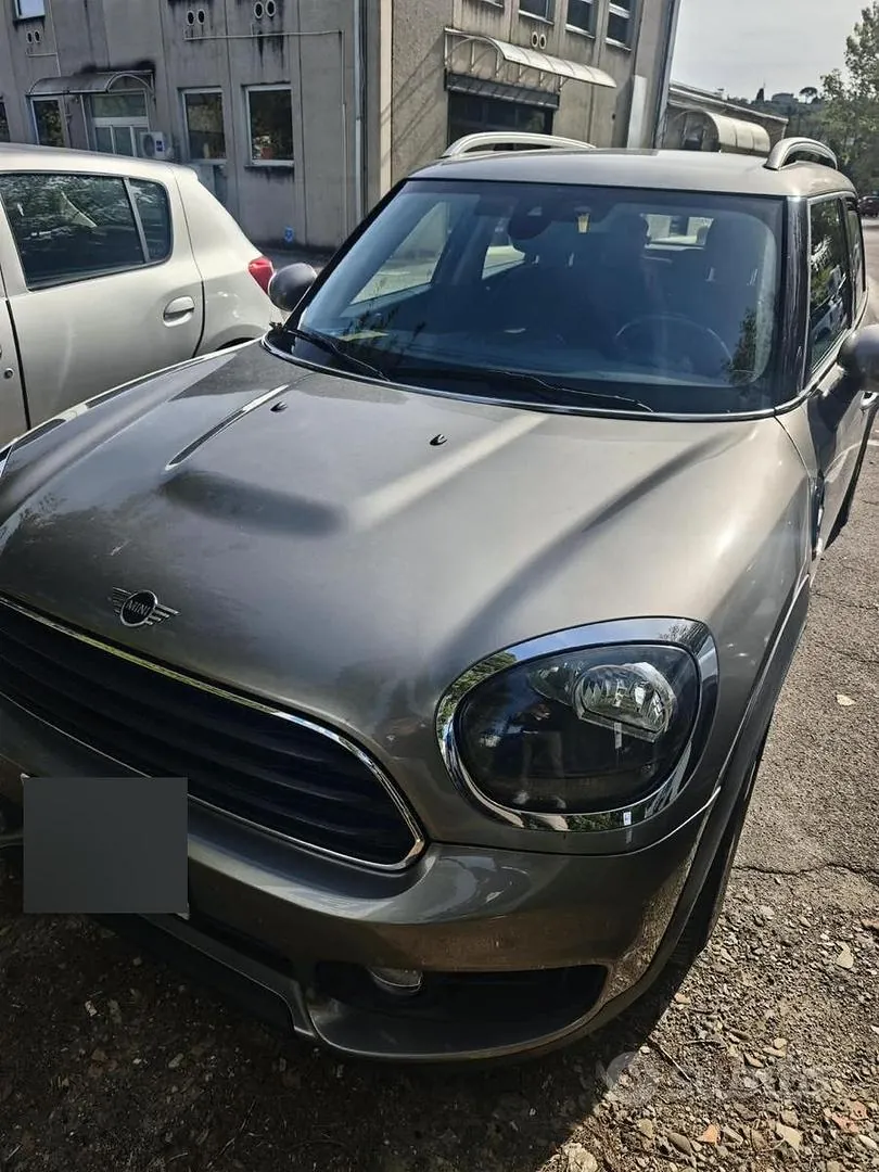 Mini Mini Countryman