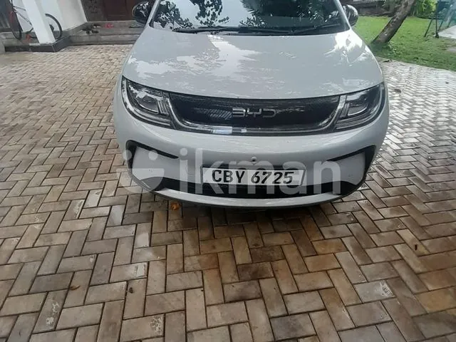 BYD Dolphin 2026 photo 2