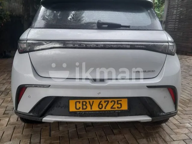 BYD Dolphin 2026 photo 4