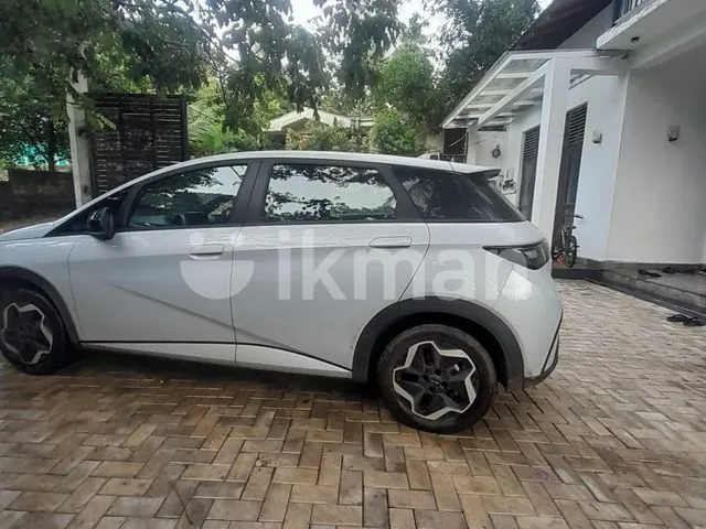 BYD Dolphin 2026 photo 3