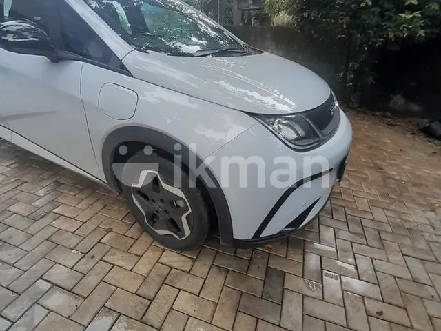 BYD Dolphin 2026 photo 5