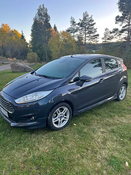 Ford Fiesta 2014 photo 2