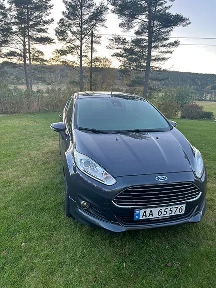Ford Fiesta 2014 photo 3
