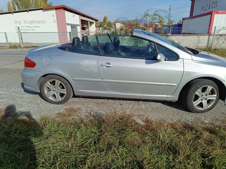 Peugeot 307 2004 photo 3