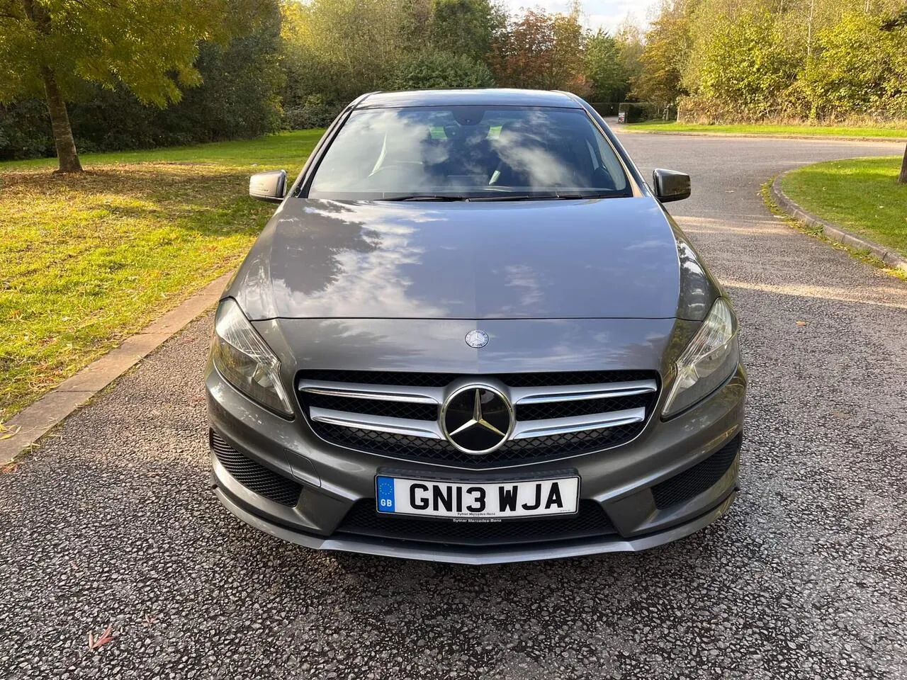 Mercedes-Benz A-Class 2013 photo 2
