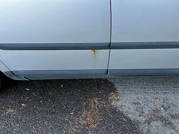 Volvo V50 2007 photo 4