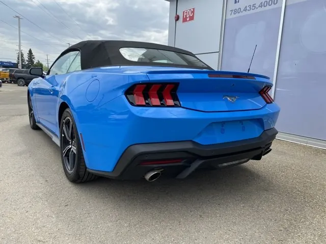 Ford Mustang 2025 photo 3