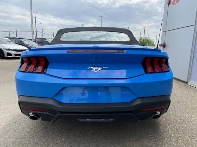 Ford Mustang 2025 photo 4