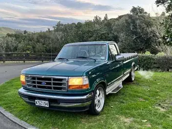 Ford F-150 1996 photo 3