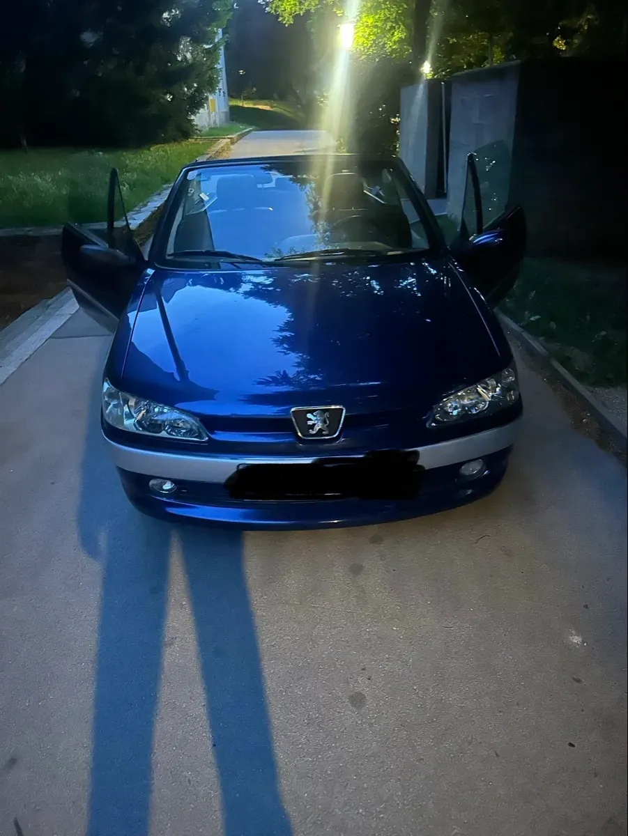 Peugeot 307 2001 photo 3